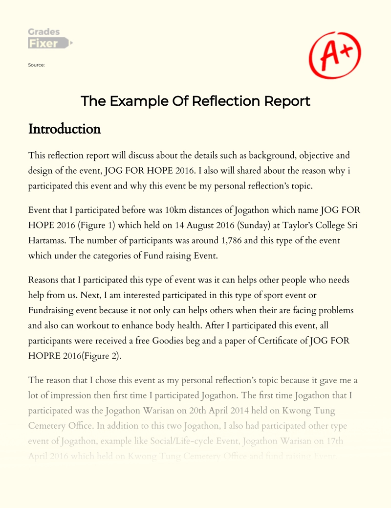 The Example of Reflection Report  essay