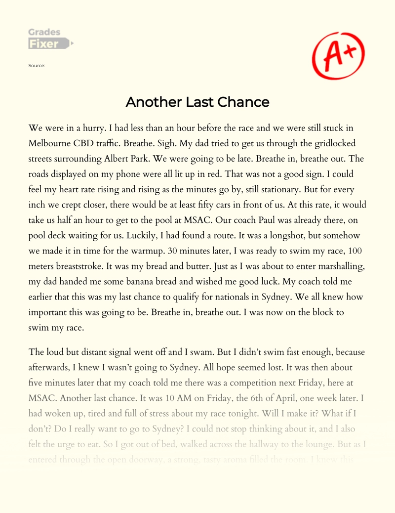 Another Last Chance Essay
