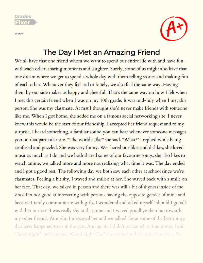 The Day I Met an Amazing Friend Essay