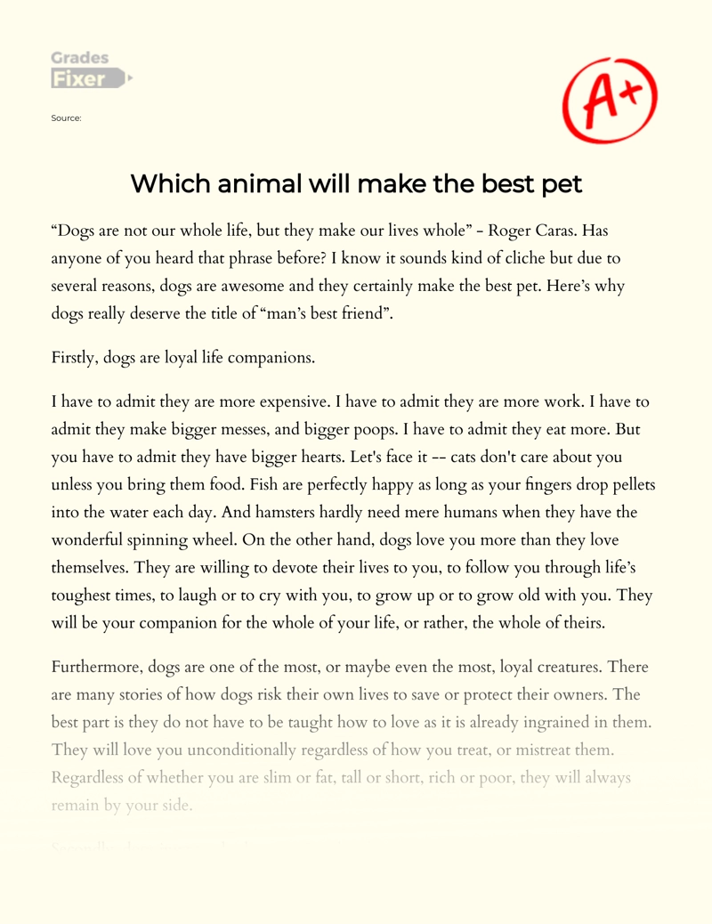 What Animal Makes The Best Pet: Dogs Essay