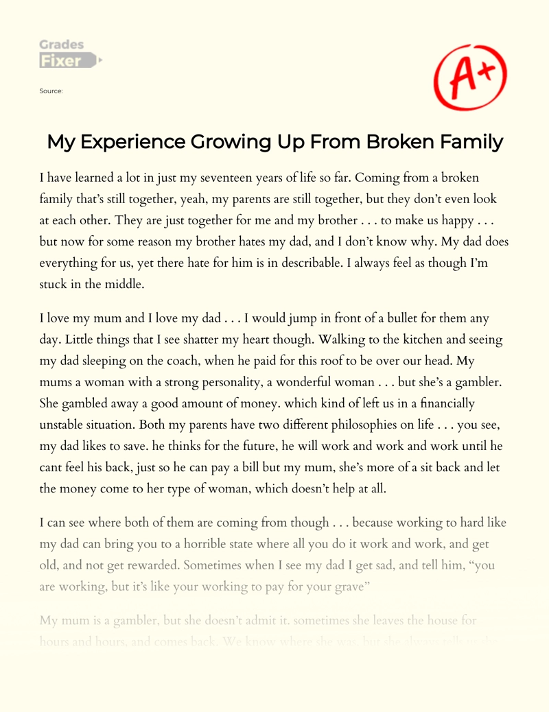 broken family experience essay