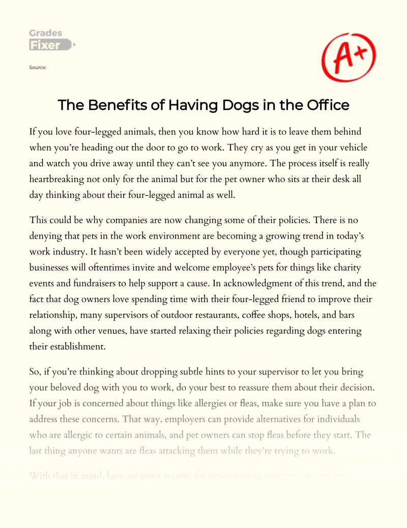 The Benefits of Having Dogs in The Office Essay