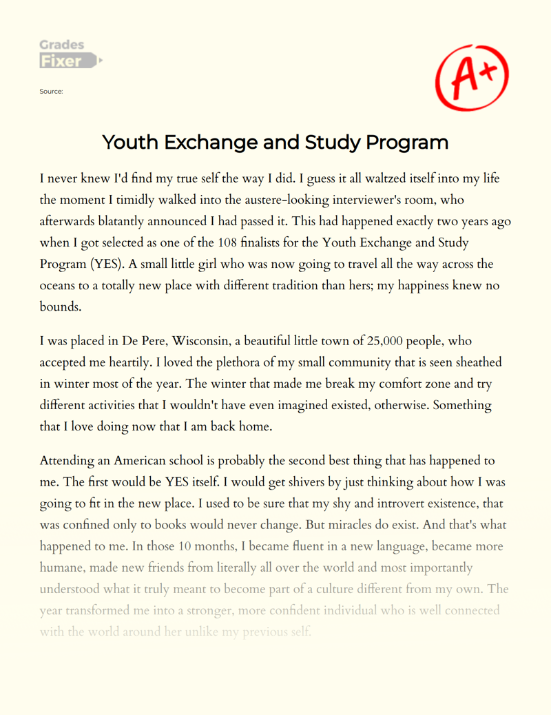 Youth Exchange and Study Program Essay