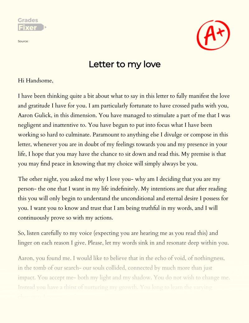Letter to My Love essay