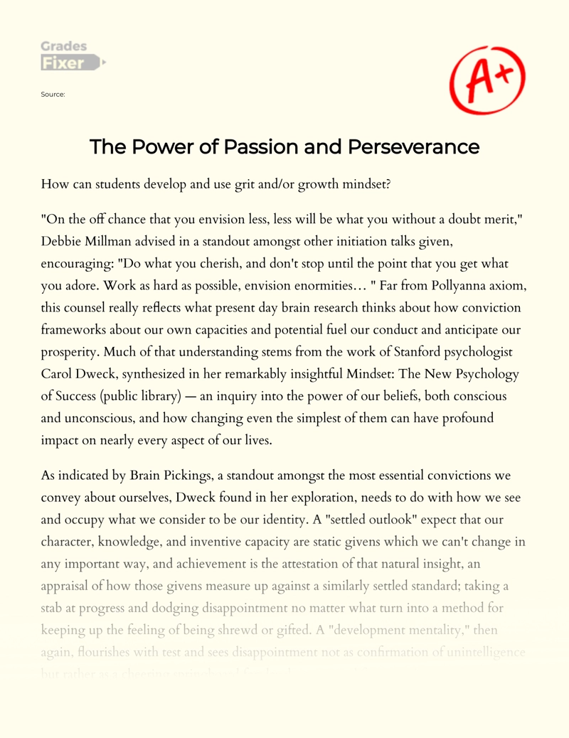 The Power of Passion and Perseverance essay