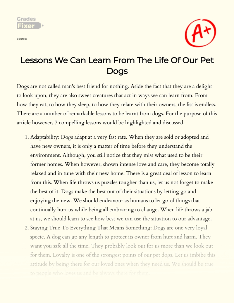 Lessons We Can Learn From The Life Of Our Pet Dogs: [Essay Example], 712  words GradesFixer