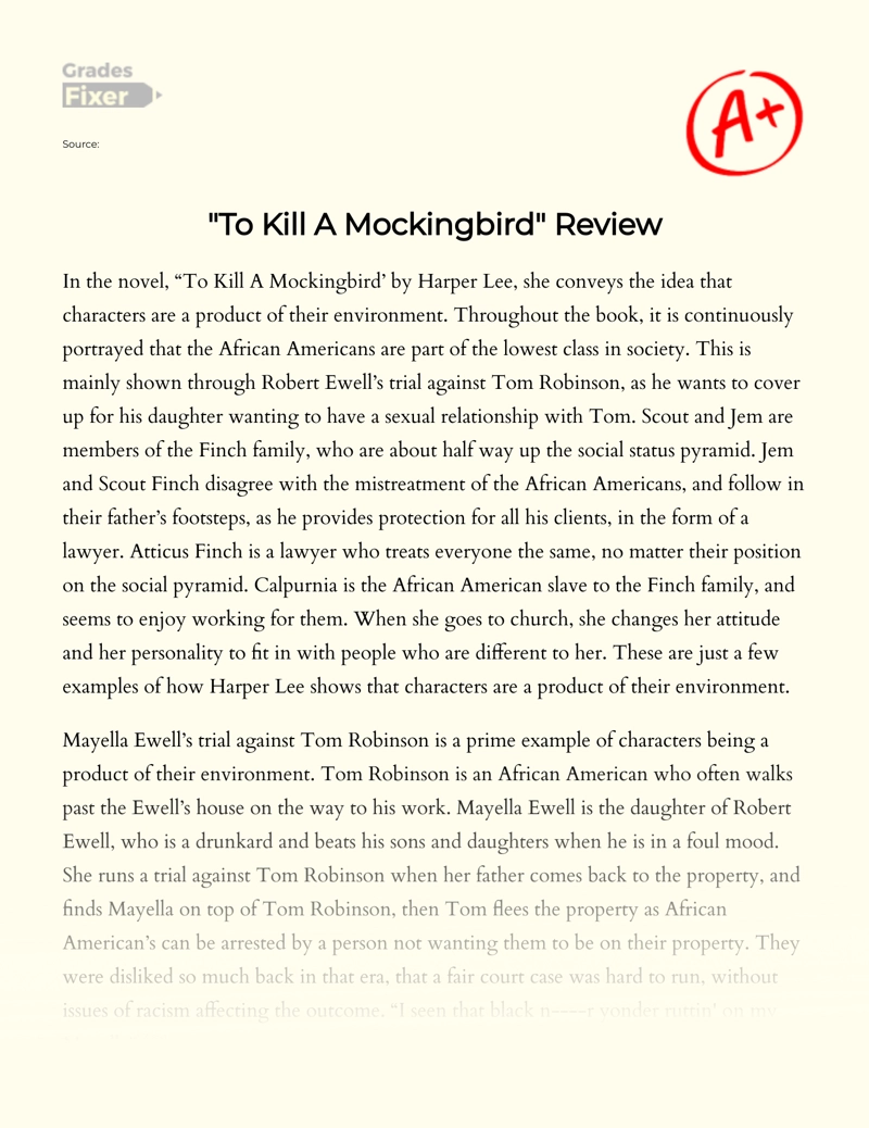 The Main Idea of The Novel to Kill a Mockingbird essay