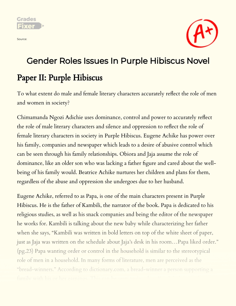 Gender Roles Issues in Purple Hibiscus Novel essay