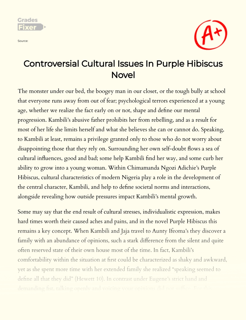 Controversial Cultural Issues in Purple Hibiscus Novel Essay