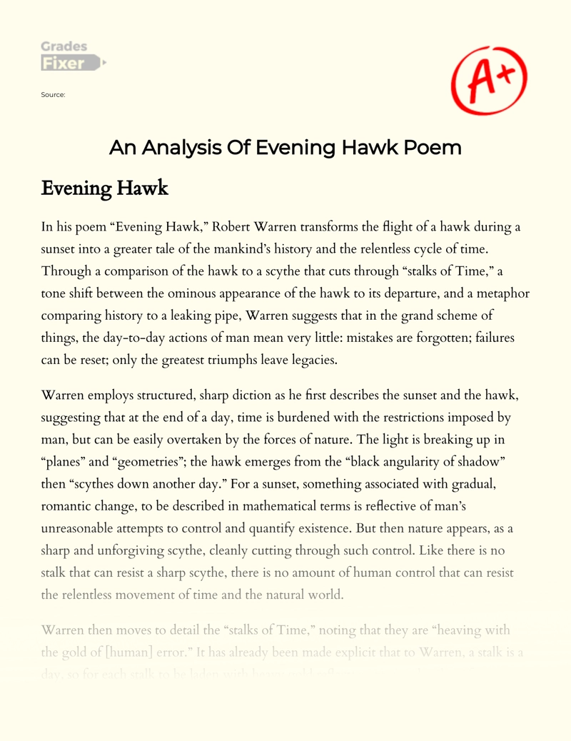 An Analysis of "Evening Hawk" Poem by Robert Warren essay