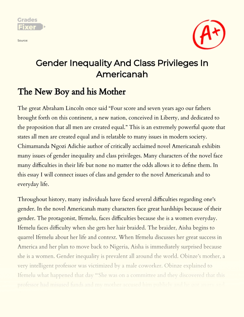 Gender Inequality and Class Privileges in "Americanah" essay