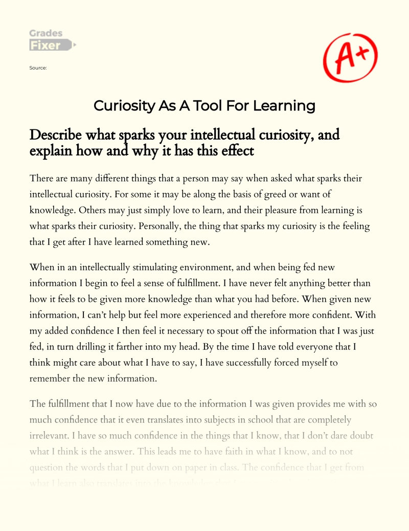 Why Curiosity is Foundational to Learning Essay