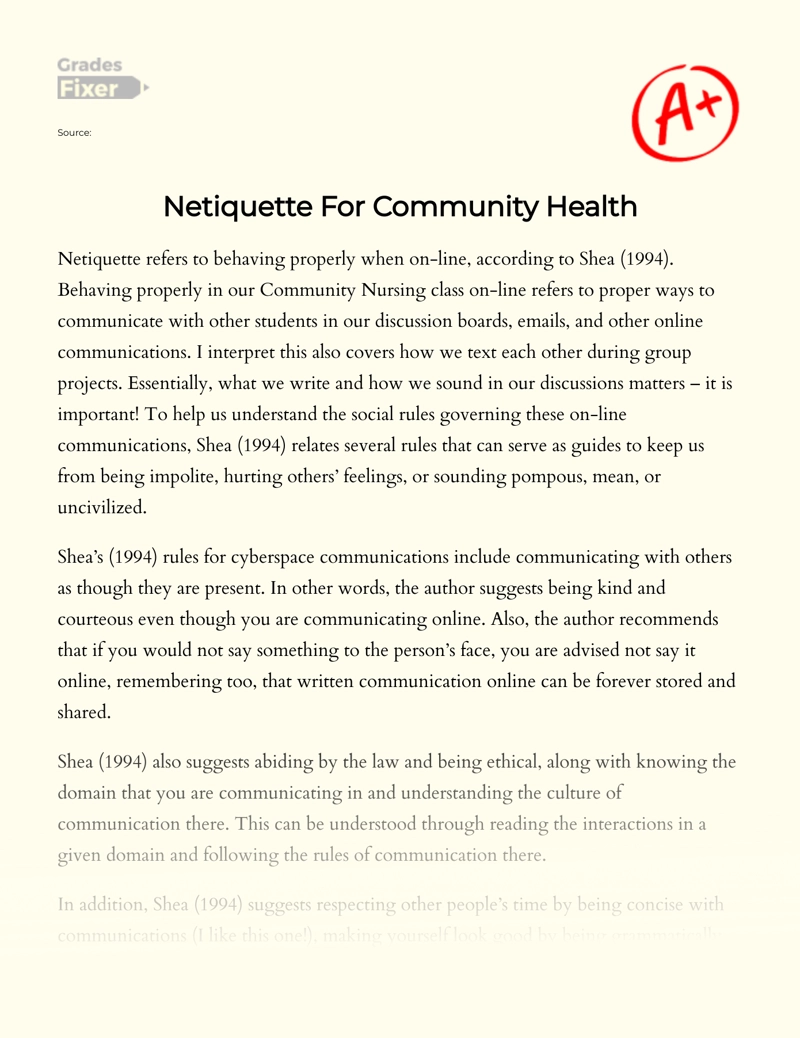 Netiquette for Community Health Essay