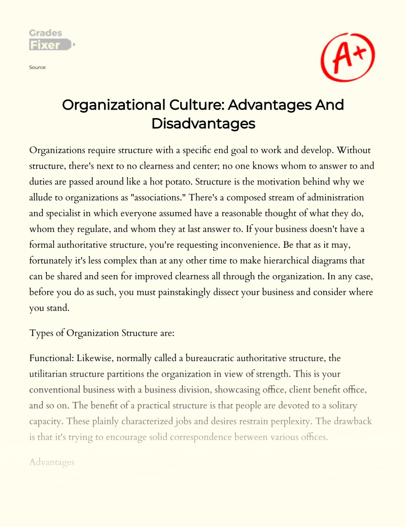 Organizational Culture: Advantages and Disadvantages essay