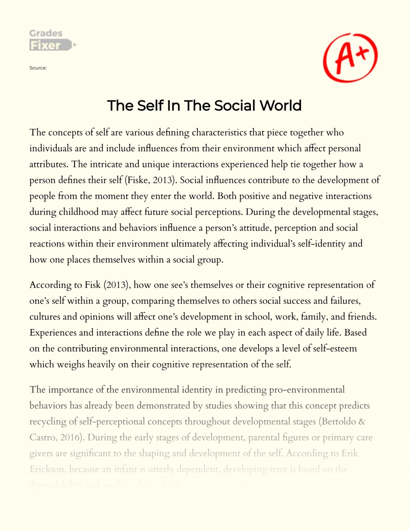 The Self In The Social World: [Essay Example], 16 words GradesFixer