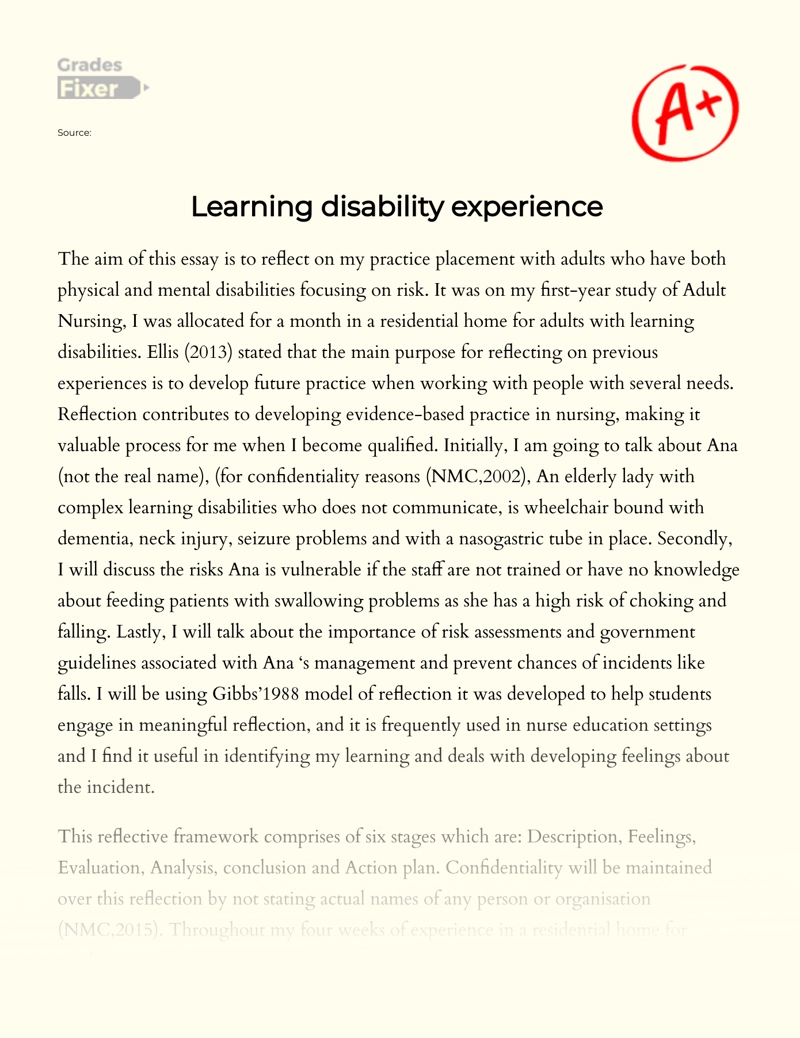 Learning Disability Experience  Essay