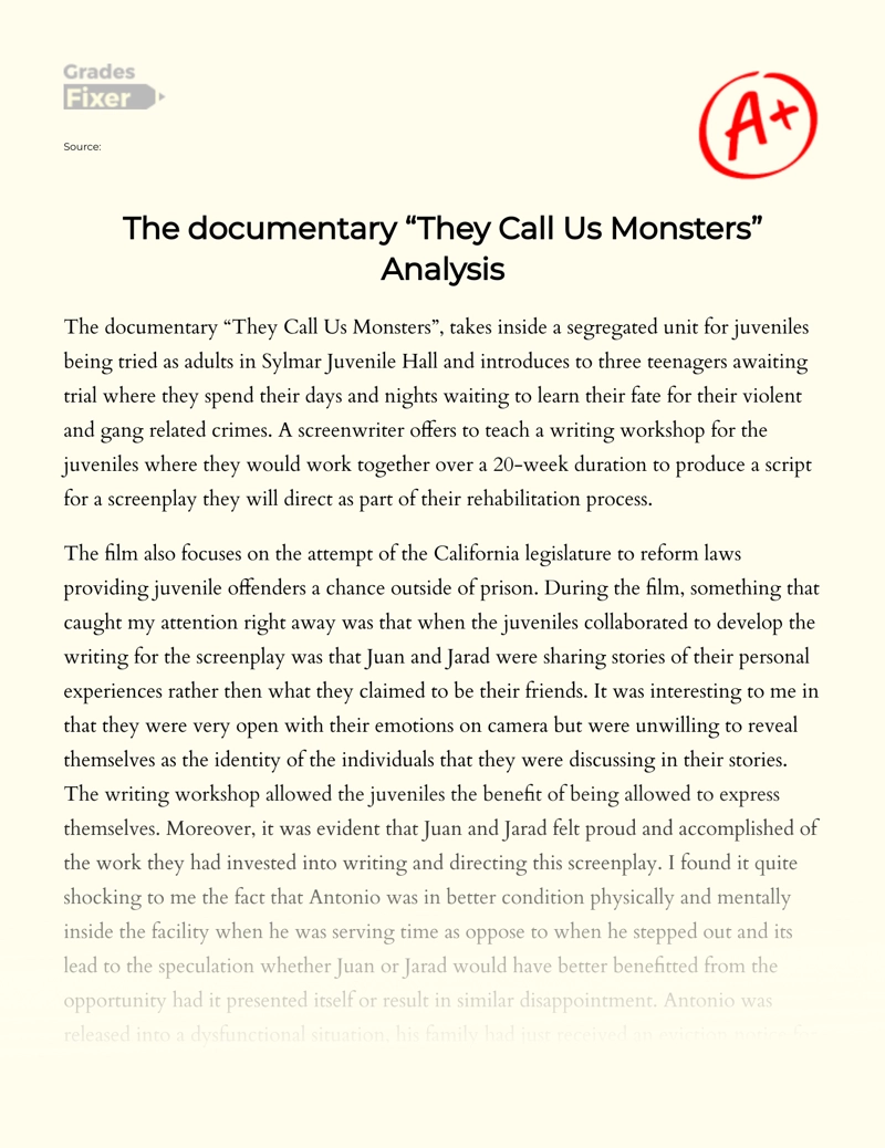 The Documentary "They Call Us Monsters" Analysis essay