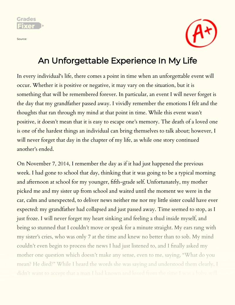 An Unforgettable Experience In My Life: [Essay Example], 719 words  GradesFixer