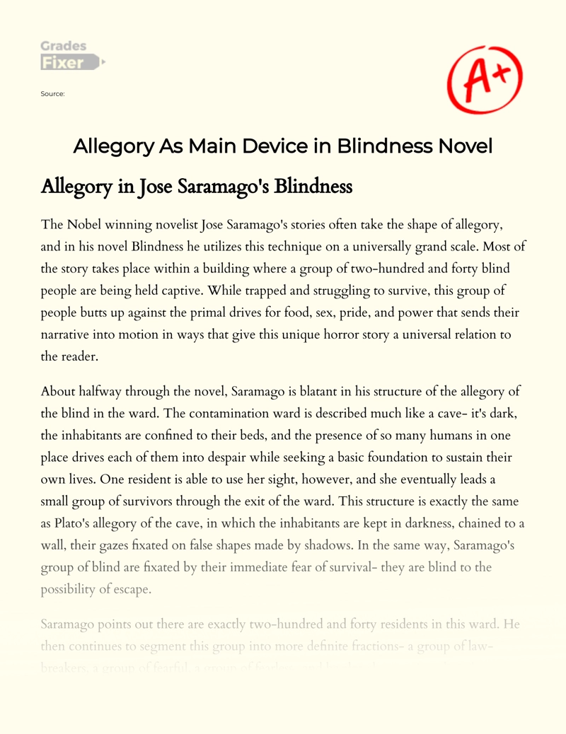 Allegory as Main Device in Blindness Novel Essay