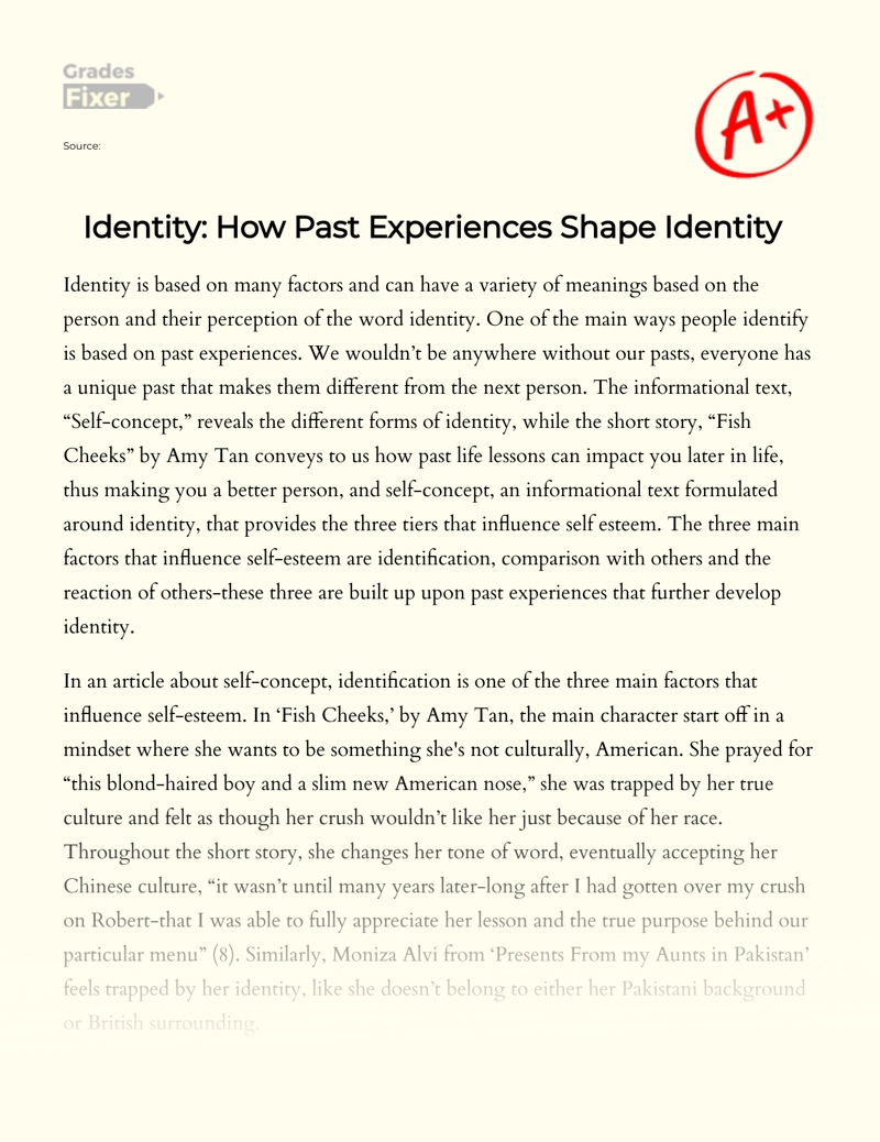 Identity: How Past Experiences Shape Identity   Essay