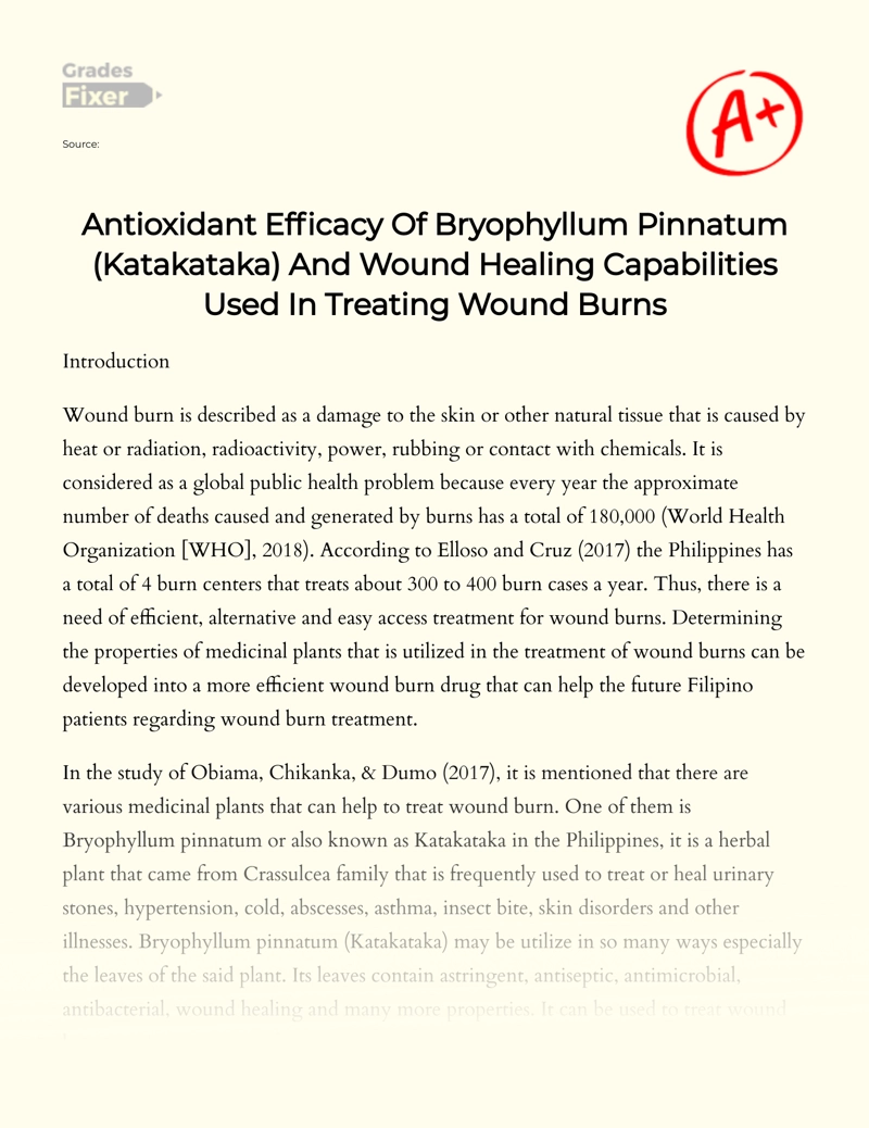 Antioxidant Efficacy of Bryophyllum Pinnatum (katakataka) and Wound Healing Capabilities Used in Treating Wound Burns Essay