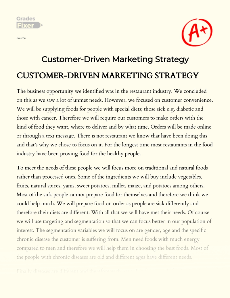 Customer-driven Marketing Strategy essay