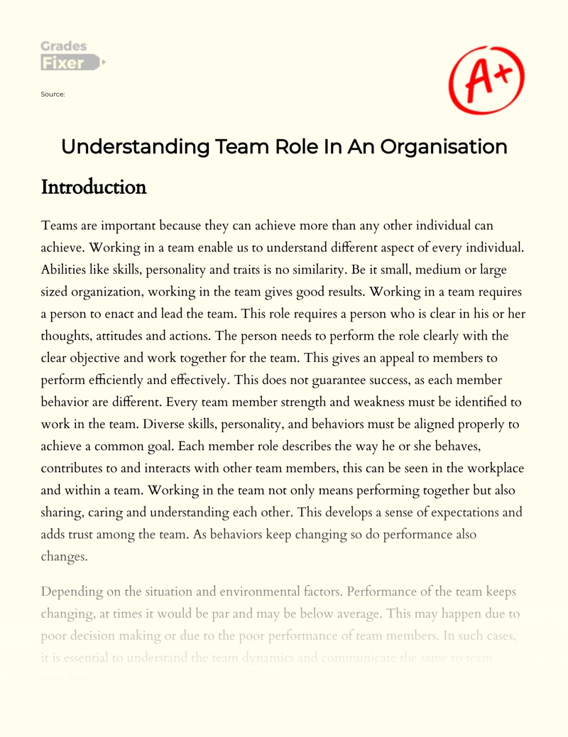 Understanding Team Role in an Organisation essay