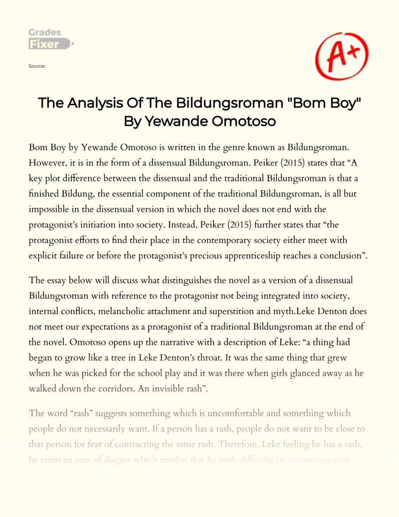 The Analysis of The Bildungsroman "Bom Boy" by Yewande Omotoso Essay