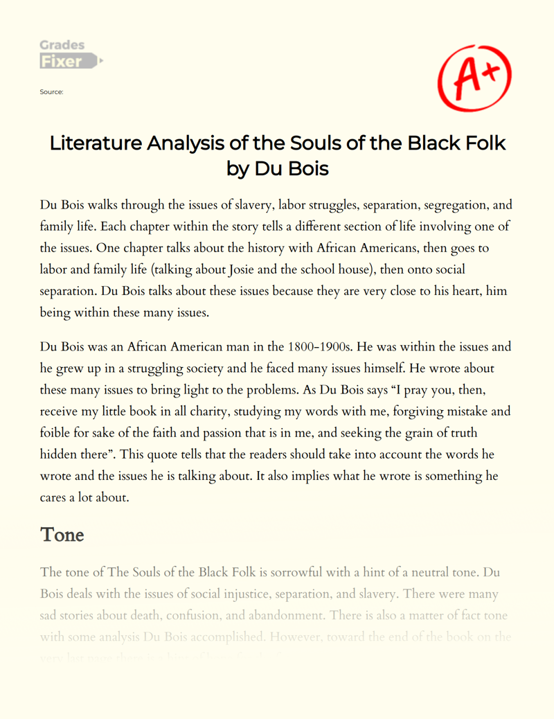 Literature Analysis of The Souls of The Black Folk by Du Bois Essay