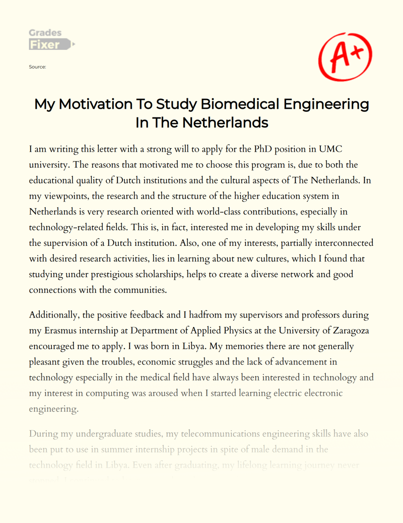My Motivation to Study Biomedical Engineering in The Netherlands Essay
