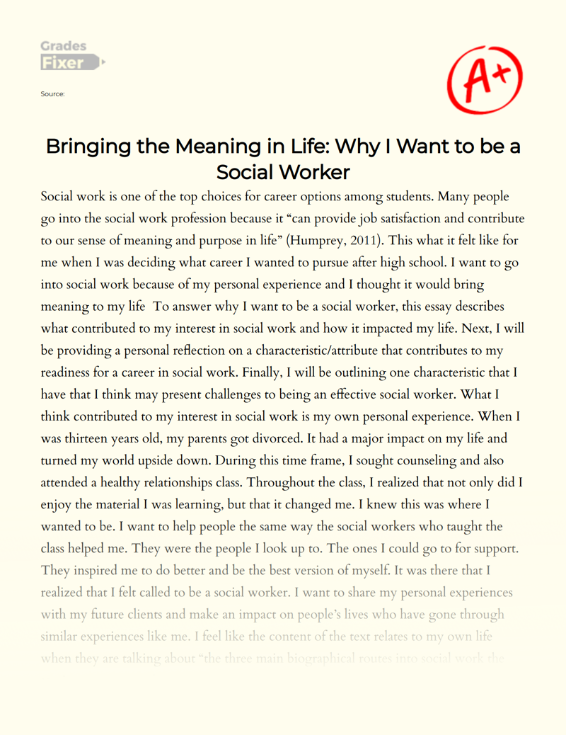 Bringing The Meaning in Life: Why I Want to Be a Social Worker Essay