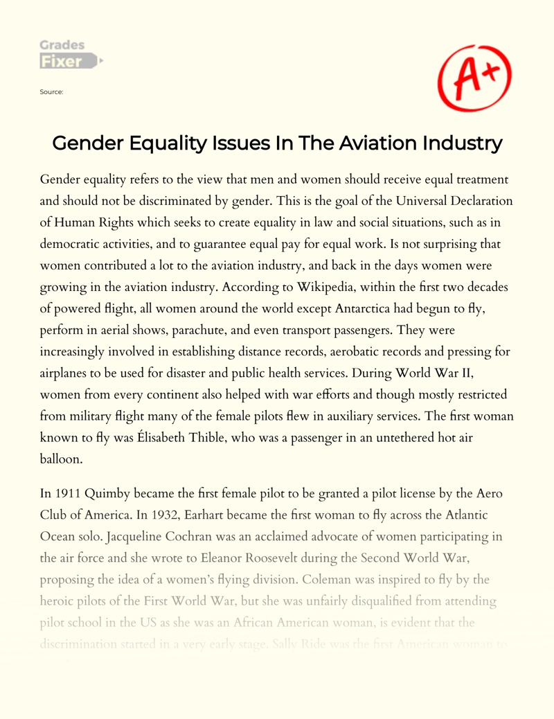 Gender Equality Issues in The Aviation Industry Essay