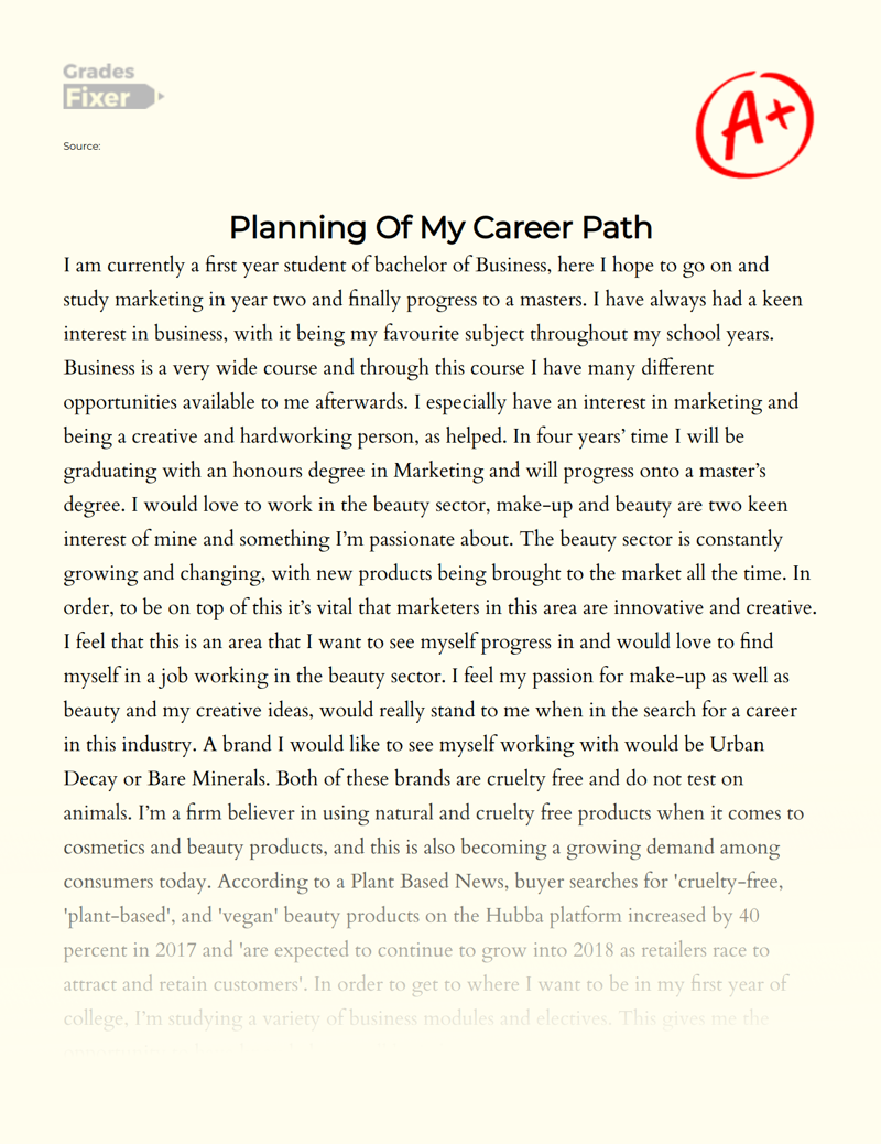 Planning of My Career Path Essay