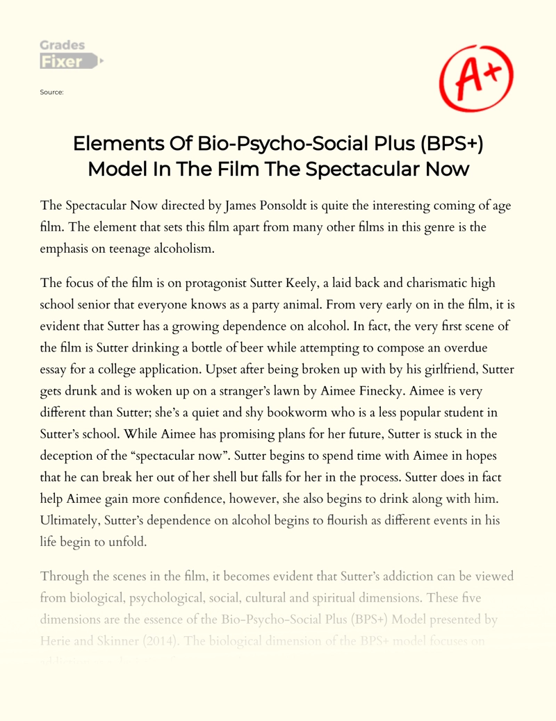 Elements of Bio-psycho-social Plus (bps+) Model in The Film The Spectacular Now Essay