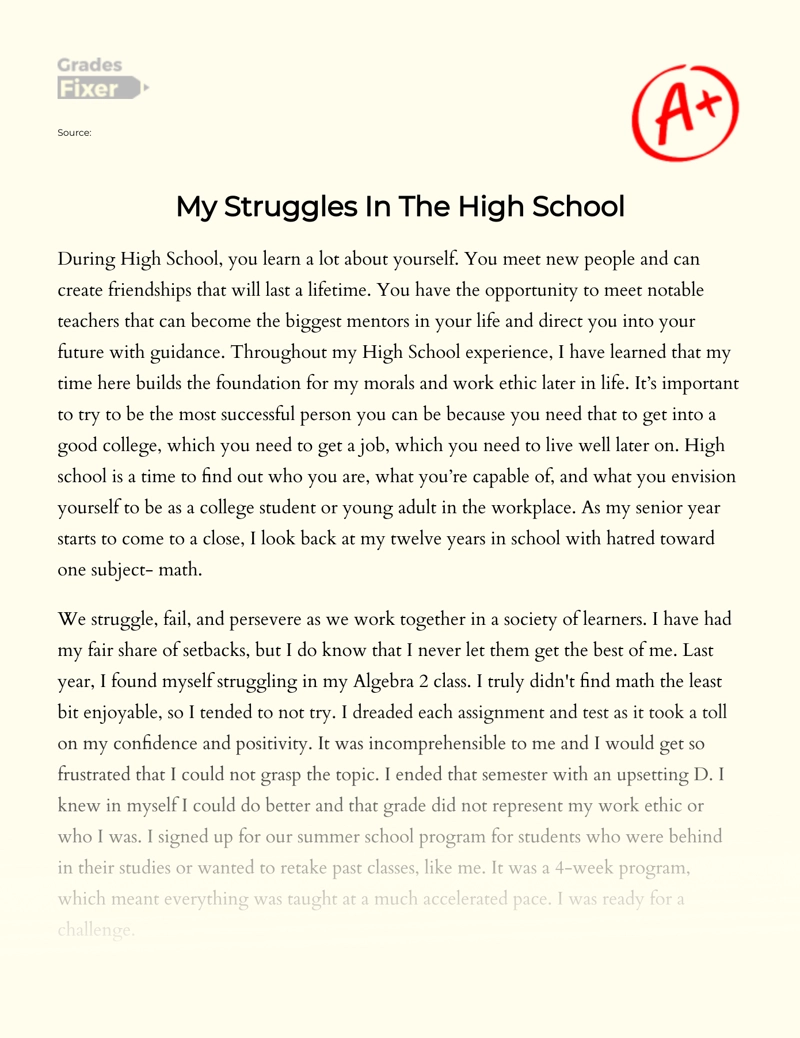 About Struggling in School: My Expirience Essay