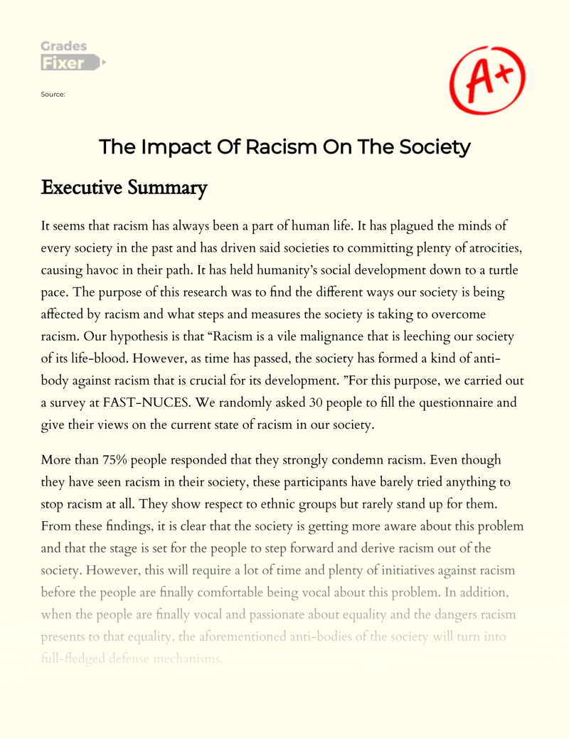 The Impact of Racism on The Society essay
