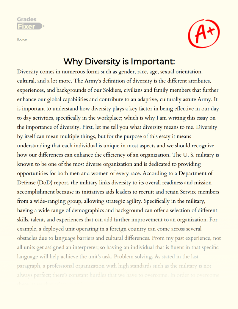 Why Diversity is Important: Essay