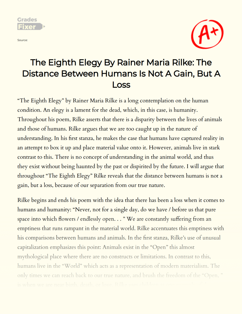 The Eighth Elegy by Rainer Maria Rilke: The Distance Between Humans is not a Gain, But a Loss Essay