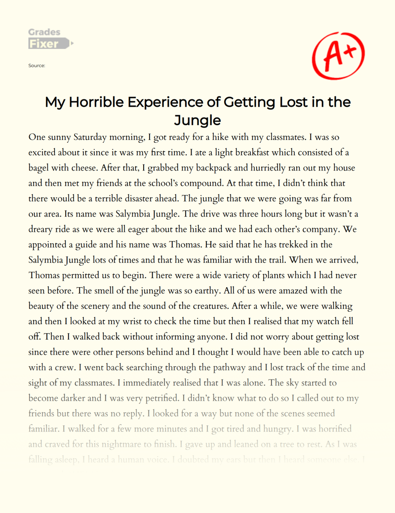 My Horrible Experience of Getting Lost in The Jungle Essay