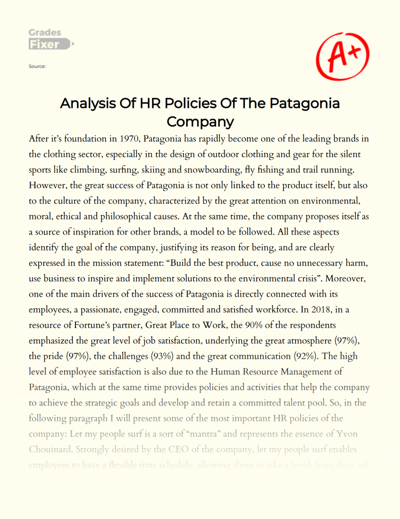 Analysis of Hr Policies of The Patagonia Company Essay