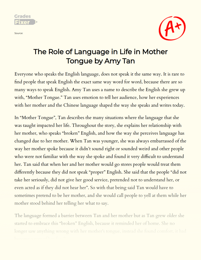 The Role of Language in Life in Mother Tongue by Amy Tan Essay
