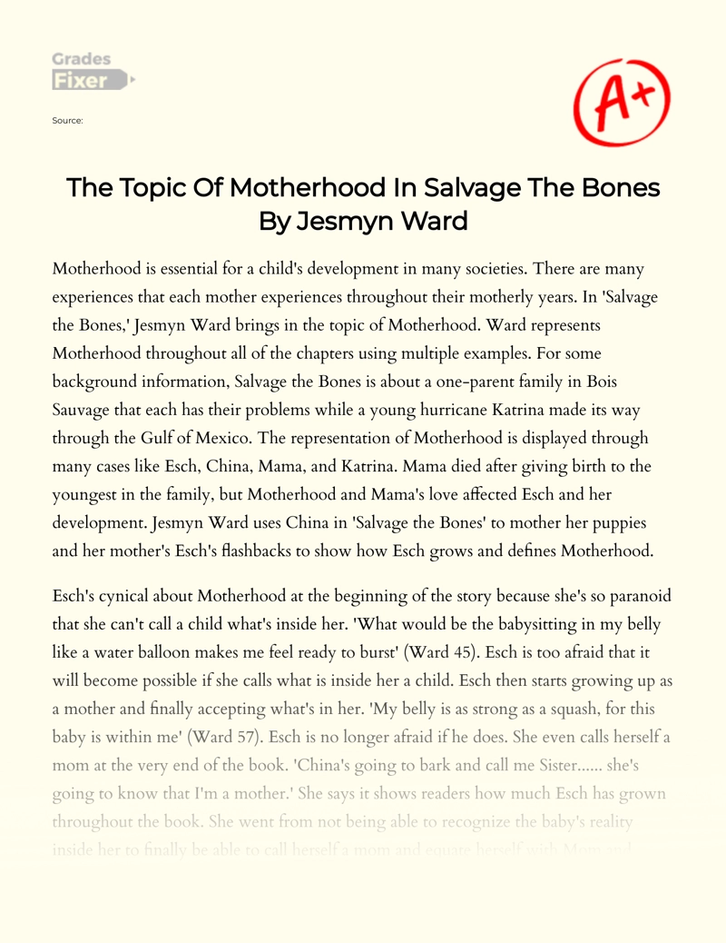 The Topic of Motherhood in Salvage The Bones by Jesmyn Ward Essay