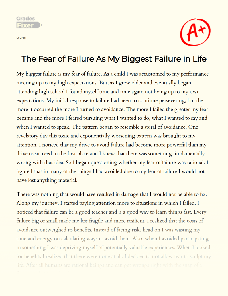 Why My Biggest Fear is Failure  Essay