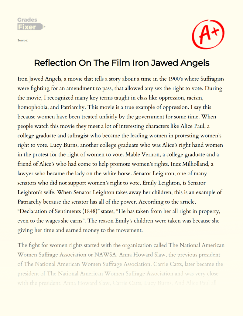 Reflection on The Film Iron Jawed Angels Essay
