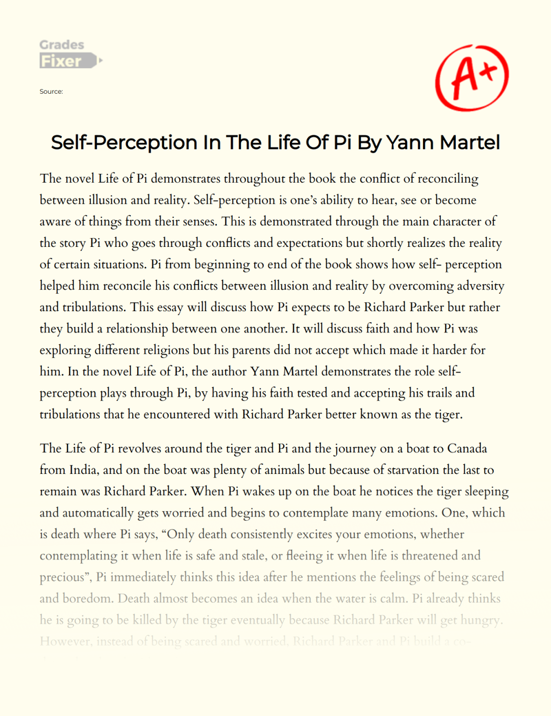 Self-perception in The Life of Pi by Yann Martel Essay