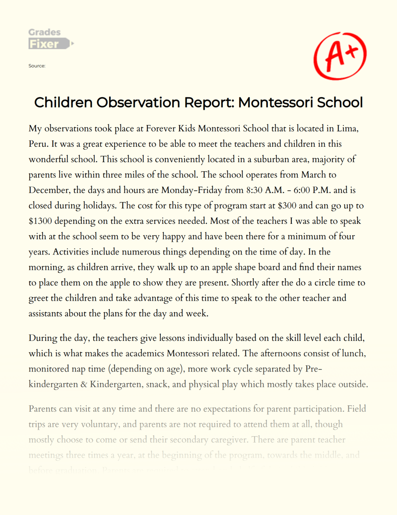 Children Observation Report: Montessori School Essay