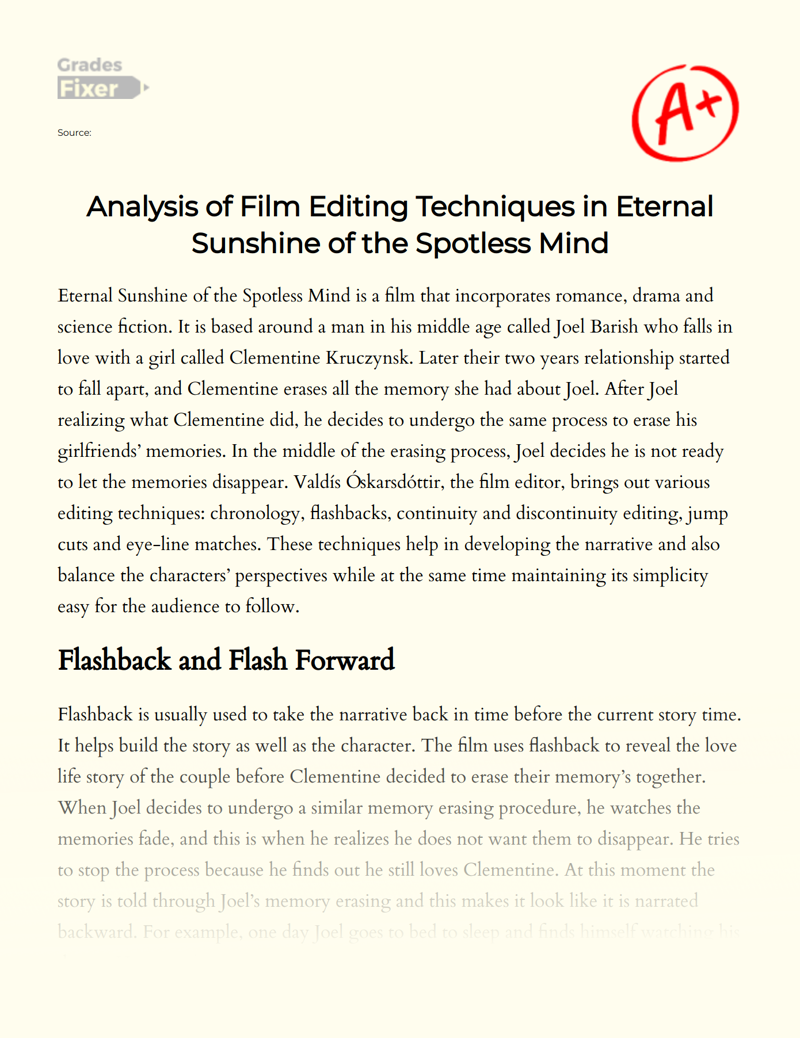 Analysis of Film Editing Techniques in Eternal Sunshine of The Spotless Mind Essay