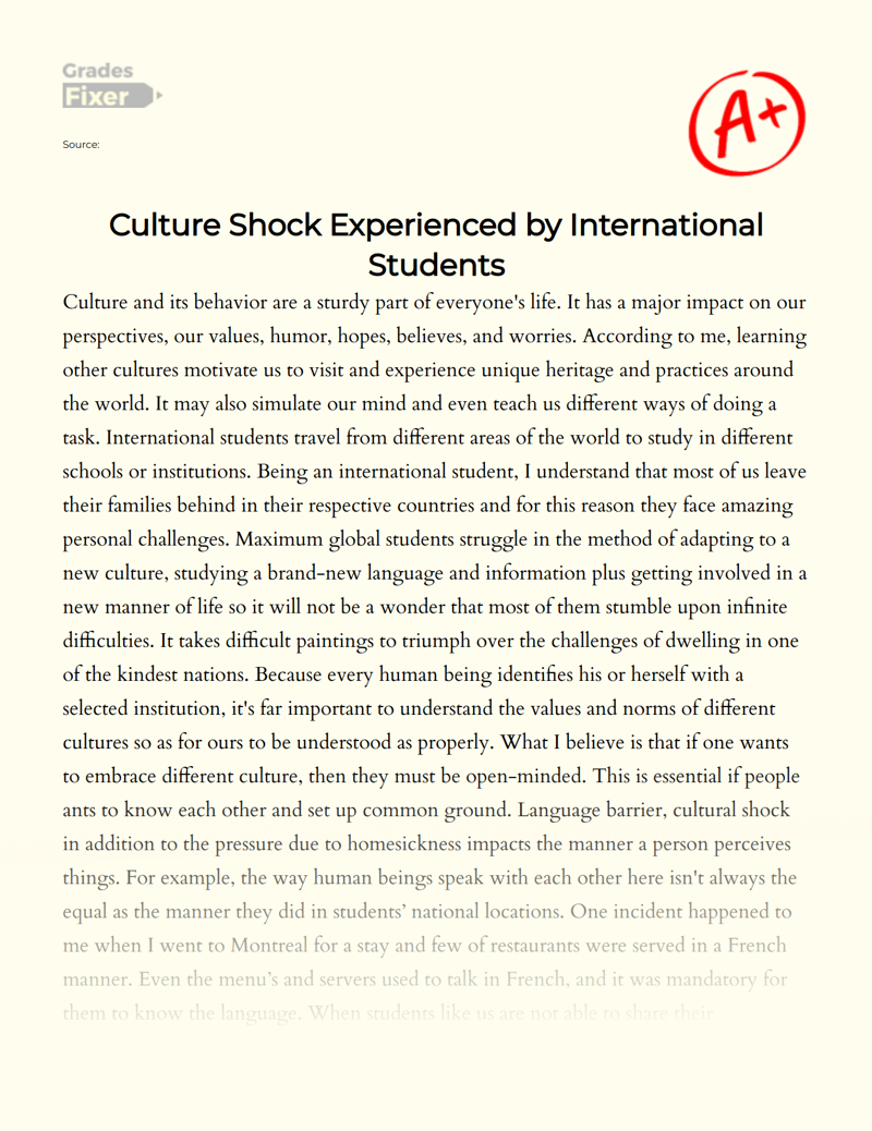 Culture Shock Experienced by International Students Essay