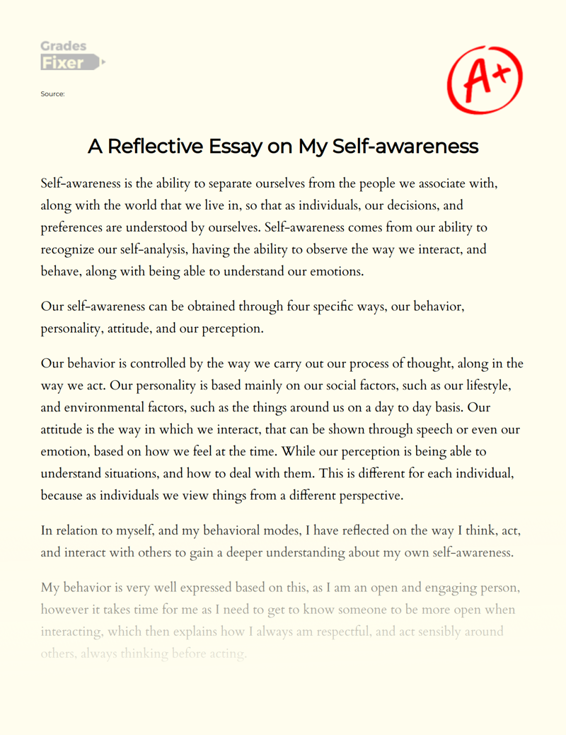 self awareness reflective essay