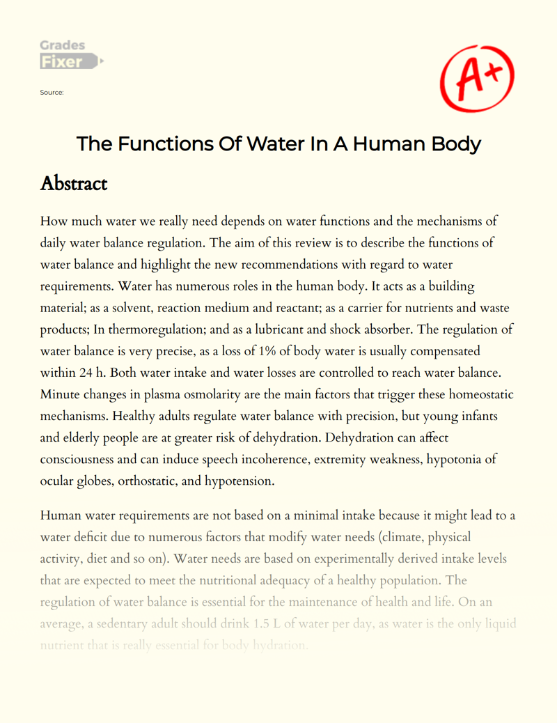 The Functions of Water in a Human Body Essay